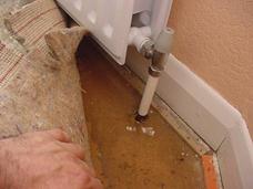 woodworm-problems-