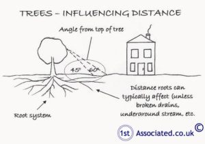 TREES-INFLUENCING-DISTANCE-sketch-300×211 trees