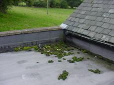 flat roof problems