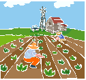 my dream farm