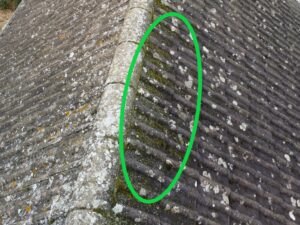 Roof has moss but no visual signs of how water is getting in